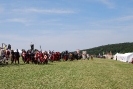 Boro-DF2015_96